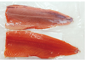 サーモントリムE